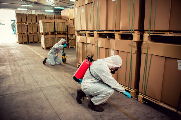 Best Pest Removal Services  in Lampasas, TX