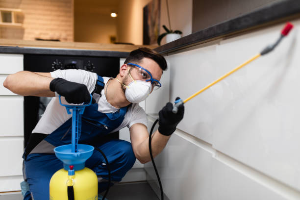 Best Termite Control Services  in Lampasas, TX