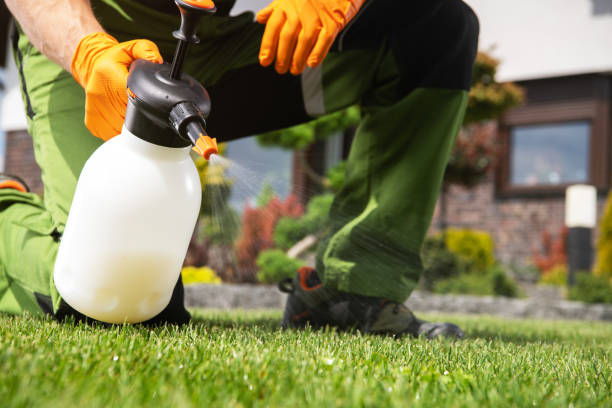 Best Wildlife Control Services  in Lampasas, TX