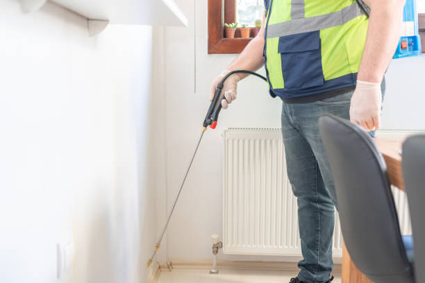 Best Pest Control Near Me  in Lampasas, TX