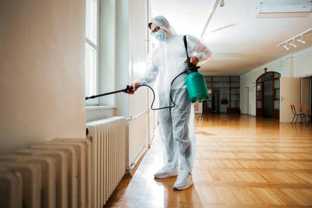 Best Termite Control Services  in Lampasas, TX