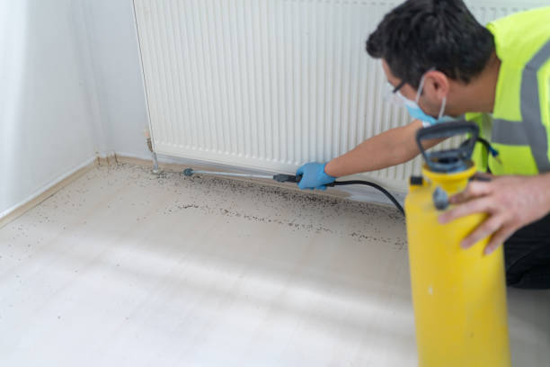 Best Residential Pest Control  in Lampasas, TX